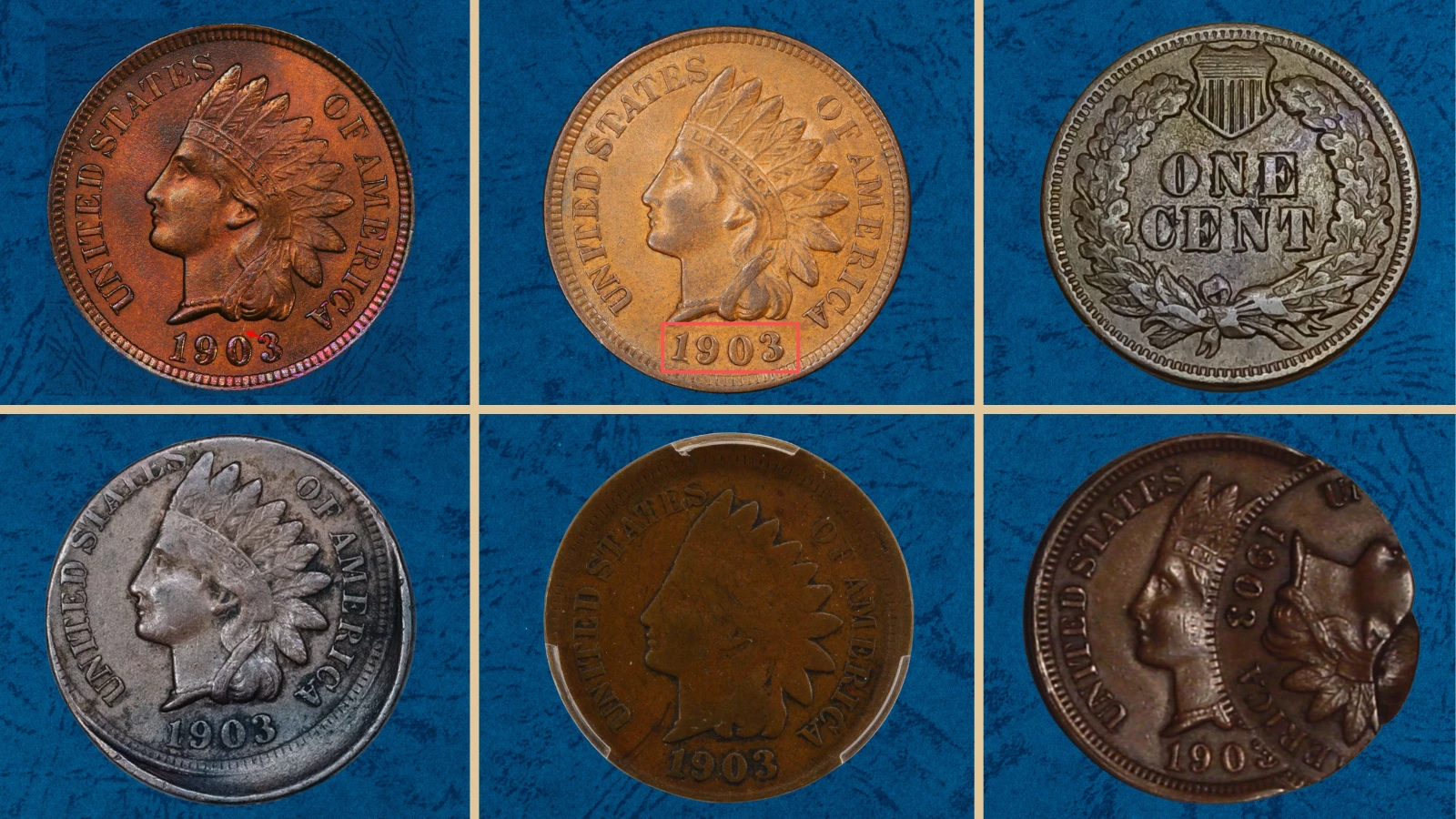 Group of 1903 Indian Head Pennies in varying grades showing the range from worn circulated to gem uncirculated