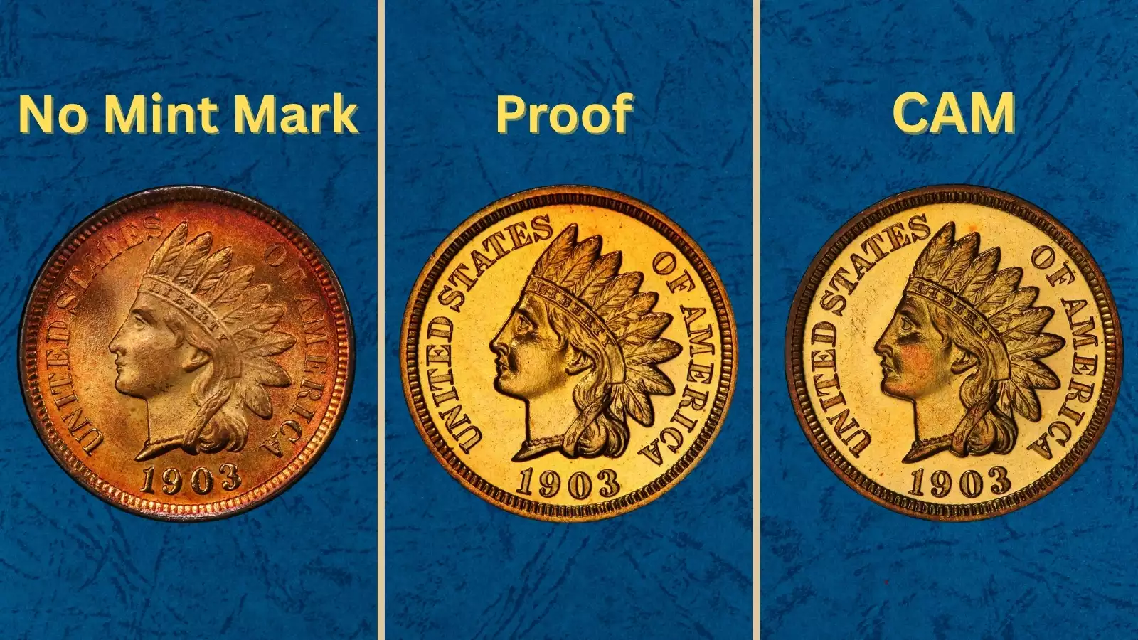 1903 Indian Head Penny grading strip showing four coins in Good, Fine, About Uncirculated, and Gem Uncirculated condition side by side